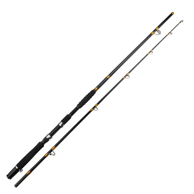 Saltwater Jigging Rod